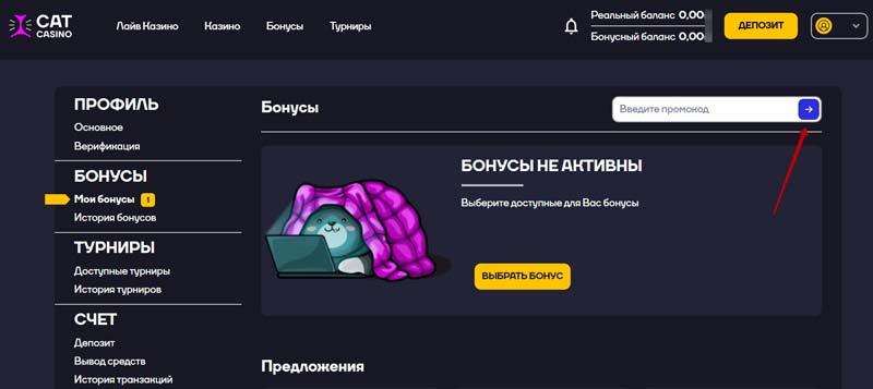 Бонусы в Cat Casino